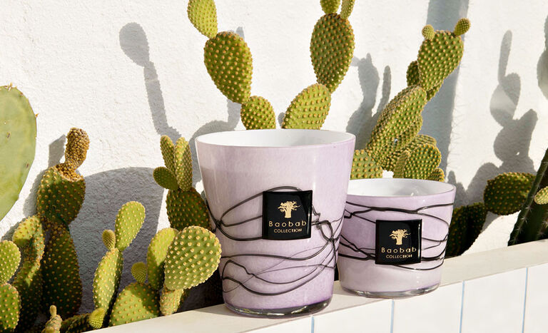 Baobab Home Fragrances Baobab Home Fragrances