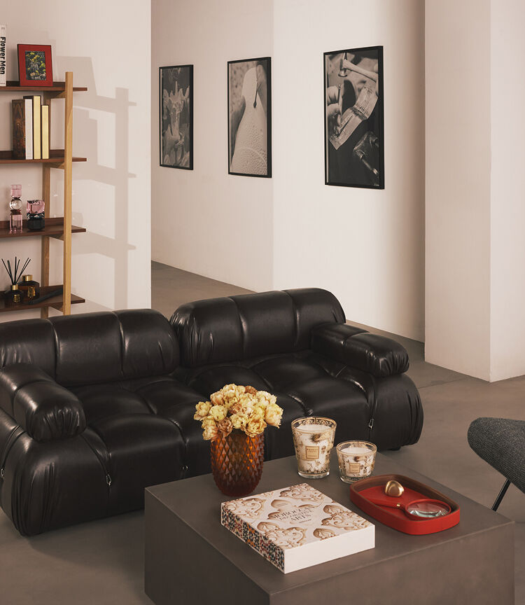 Shoppable Component - Living Space - Image