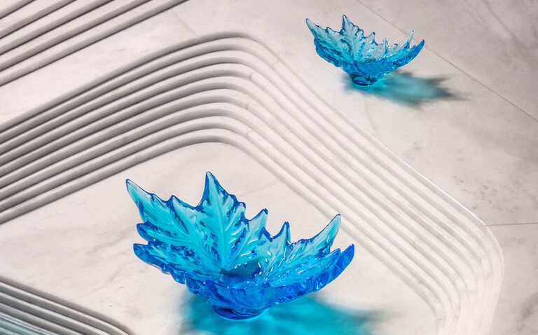 Image without a name Image without a name