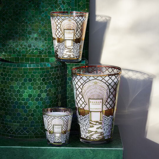 Brand Carousel - Baobab Collection - Lifestyle