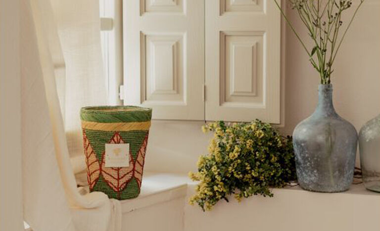 شمعة ’ماكسي ماكس رافينتسارا رافينا‘ من باوباب