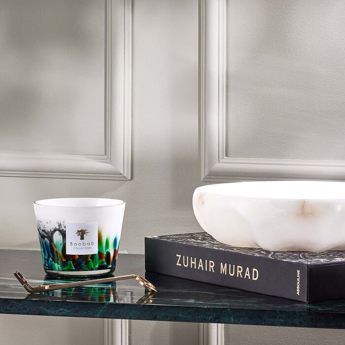 باوباب شمعة رينفورست أمازونيا ماكس 10