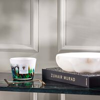 شمعة رينفورست أمازونيا ماكس 10 باوباب شمعة رينفورست أمازونيا ماكس 10