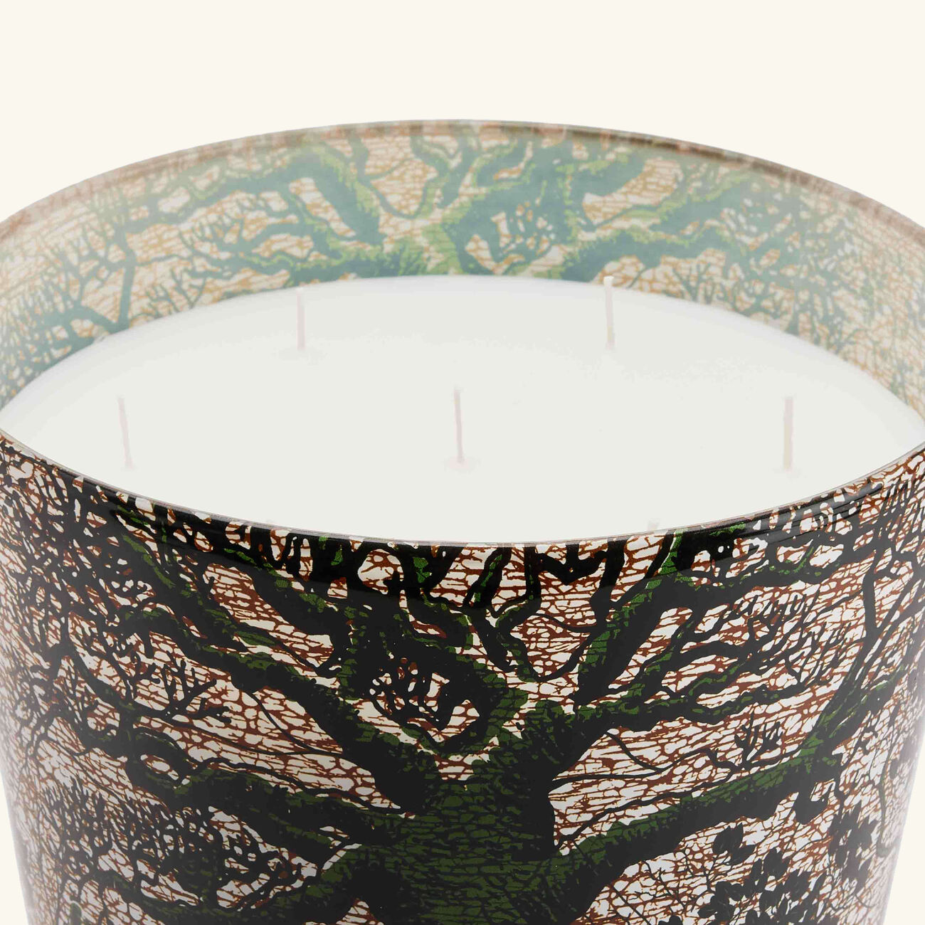 baobab collection sacred trees kani candle maxi max