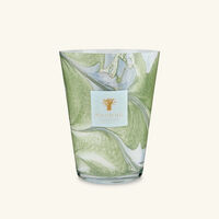 باوباب شمعة ماريوس المعطرة ماكس 24