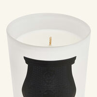 Rose Poivrée Giambattista Valli Candle 270g trudon rose poivr e giambattista valli candle 270g