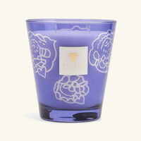 baobab collection collectible roses dark parma candle max 16