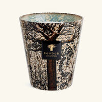 baobab collection sacred trees morondo candle max 16
