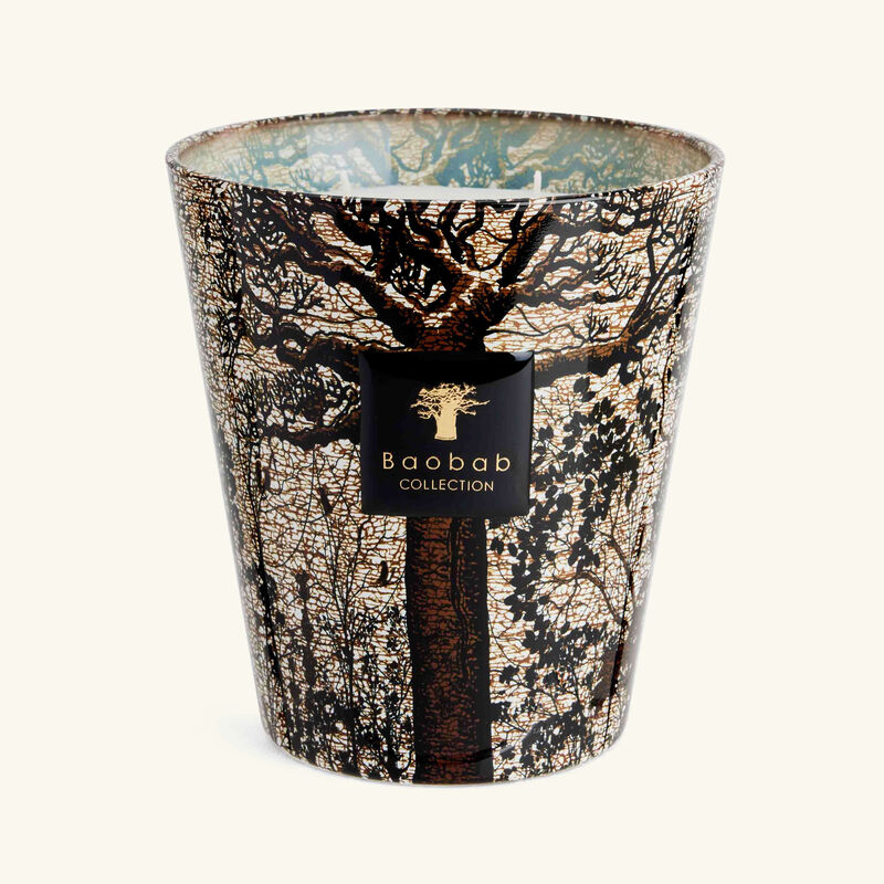 baobab collection sacred trees morondo candle max 16
