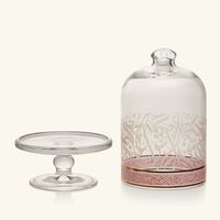 دملاج قاعدة الكيك الشفافة نغم مع غطاء   12 سم