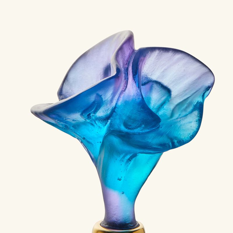 دوم زجاجة العطر آروم روز