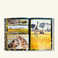 كتاب مغامرات أفريقية: أعظم رحلة سفاري على الأرض 25x33 سم آسولين كتاب مغامرات أفريقية أعظم رحلة سفاري على الأرض 25x33 سم