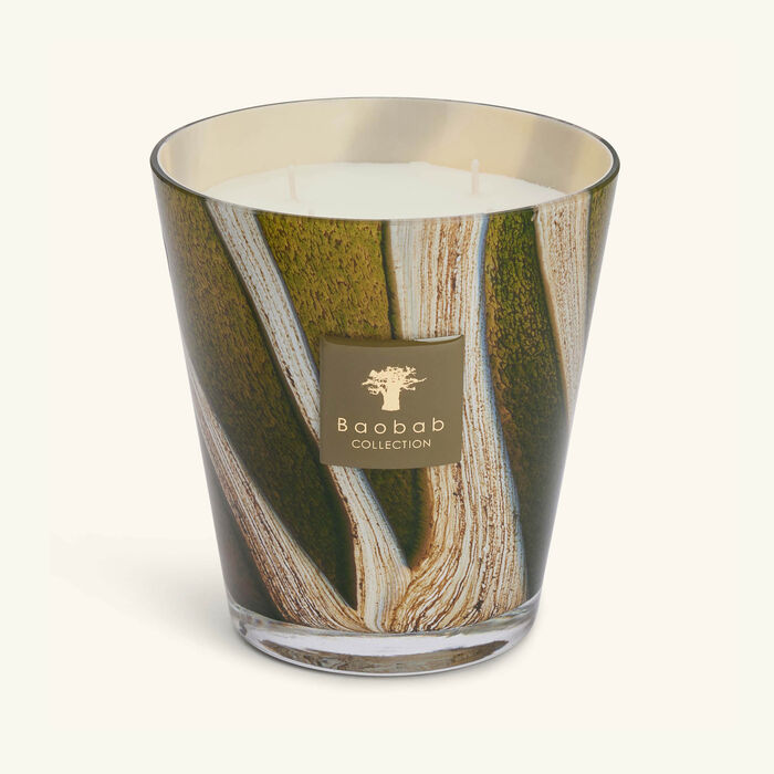 baobab collection woods sherwood candle max 16