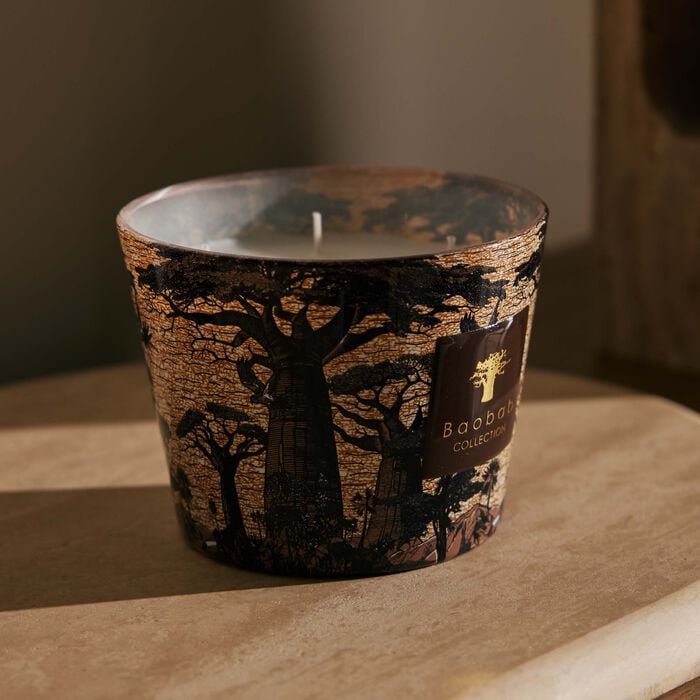 baobab collection sacred trees mankono candle max 10