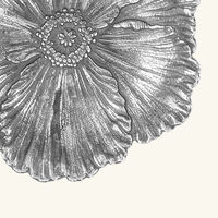 بوتشيلاتي وعاء على شكل زهرة الخشخاش فضي بحجم صغير جدًا