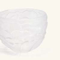 lalique pivoine votive