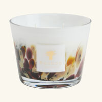 باوباب شمعة رينفورست تانجونغ ماكس 10