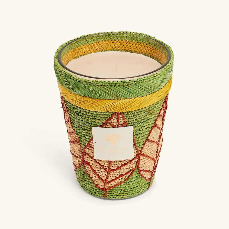 baobab collection ravintsara ravina candle max 24