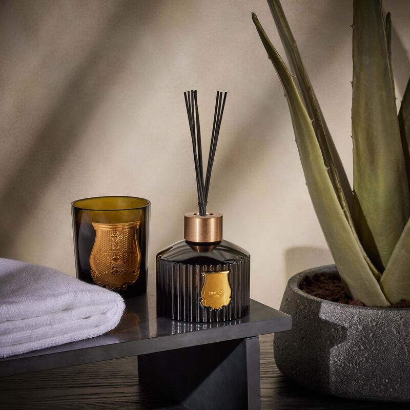 Abd El Kader Diffuser 350 ml trudon abd el kader diffuser 350 ml