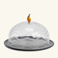 إيرا أودايبور طبق الكيك آريس كلوش دائري أسود 31 سم