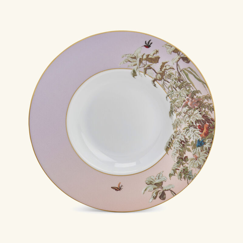 haviland le br sil soup plate 28cm