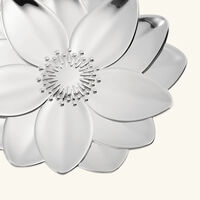 كريستوفل صينية الحلى والمقتنيات الصغيرة ليربييه لوتس المطلية بالفضة