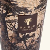 شمعة سيكرد تريز مانكونو المعطرة ماكس 24 باوباب شمعة سيكرد تريز مانكونو المعطرة ماكس 24