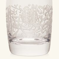 dimlaj thuluth short tumbler clear set of 6