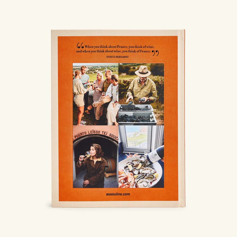 كتاب واين آند ترافل فرانس 33 × 25 سم 33 25