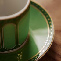 rosenthal signum fern coffee cup saucer green