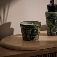 baobab collection sacred trees touba candle max 10