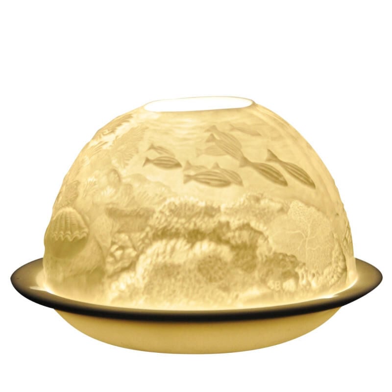 Lithoph Coral Reef Lithoph Coral Reef, large