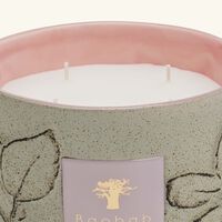 baobab collection folia maquis candle max 10