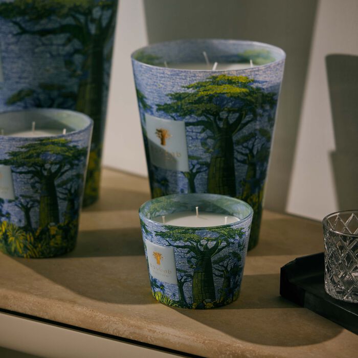 baobab collection sacred trees yarani candle max 16
