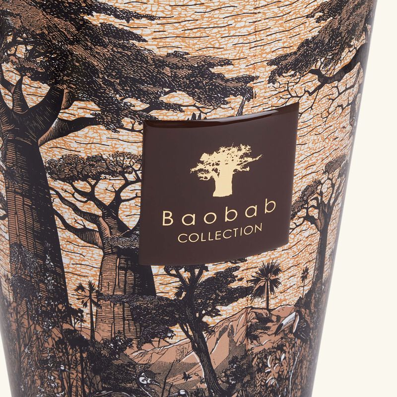 Sacred Trees Mankono Candle Max 24 baobab collection sacred trees mankono candle max 24