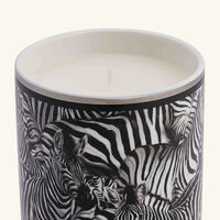 dolce gabbana casa lychee and mulberry candle