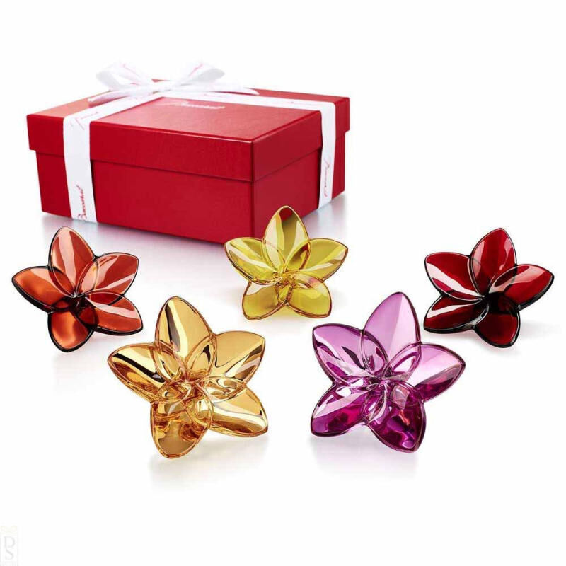 The Bloom Collection Flower Power The Bloom Collection Flower Power, large
