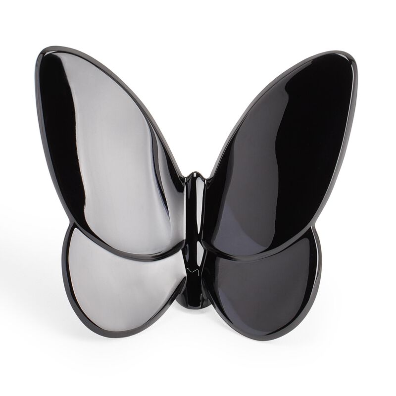 Papillon Lucky Butterfly, large