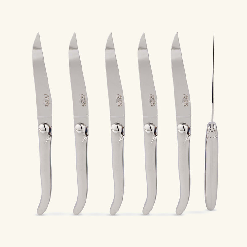 Philippe Starck Table Knife Silver Set of 6 forge de laguiole philippe starck table knife silver set of 6