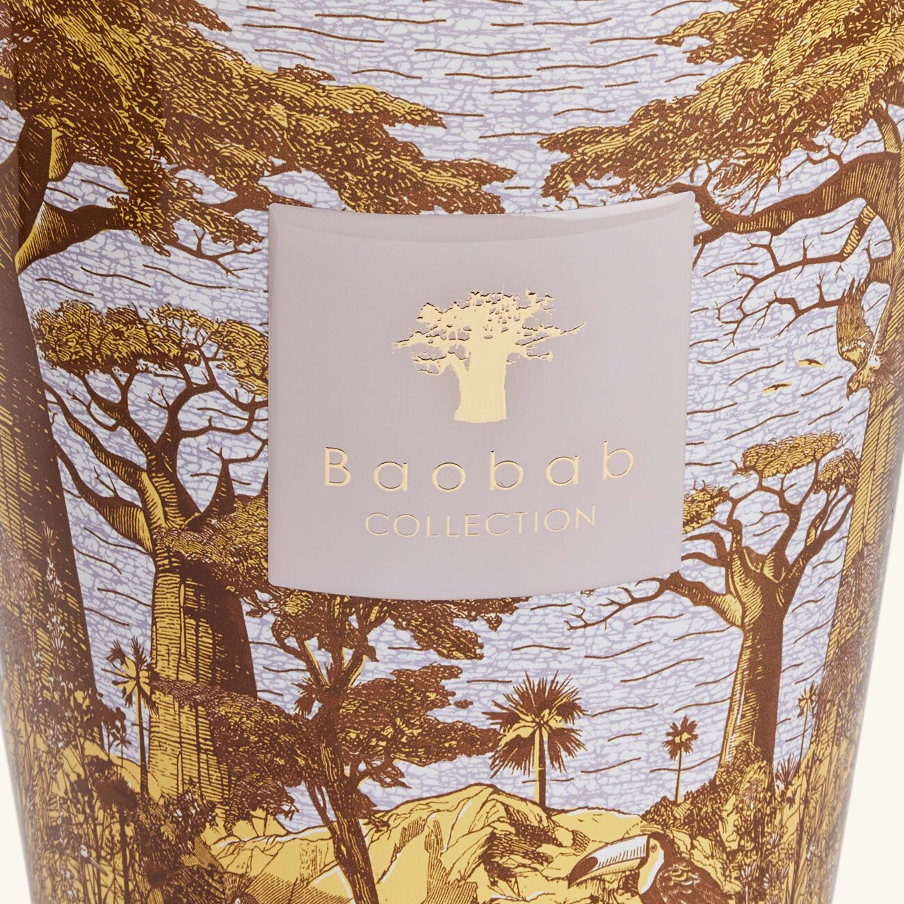 baobab collection sacred trees boukani candle max 24