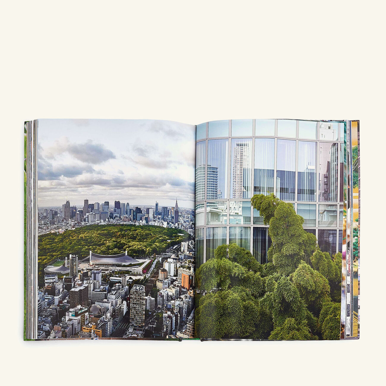 assouline tokyo chic book 33x25cm