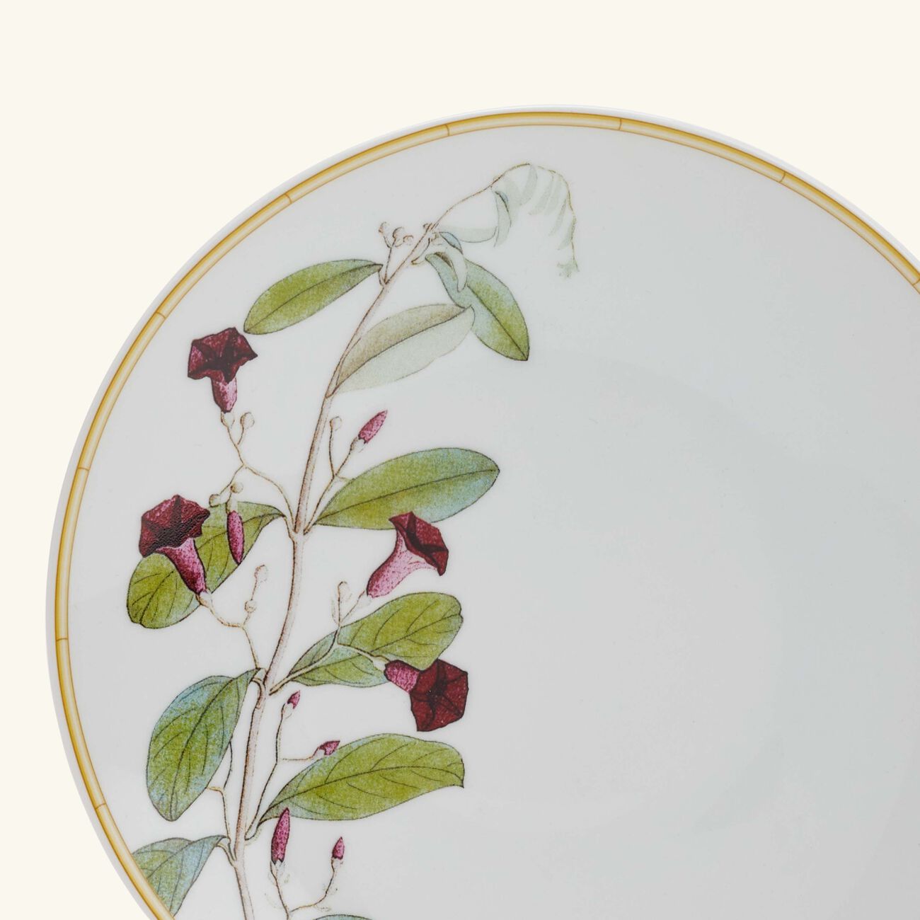 bernardaud jardin indien bread butter plate round green 16cm