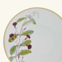 bernardaud jardin indien bread butter plate round green 16cm