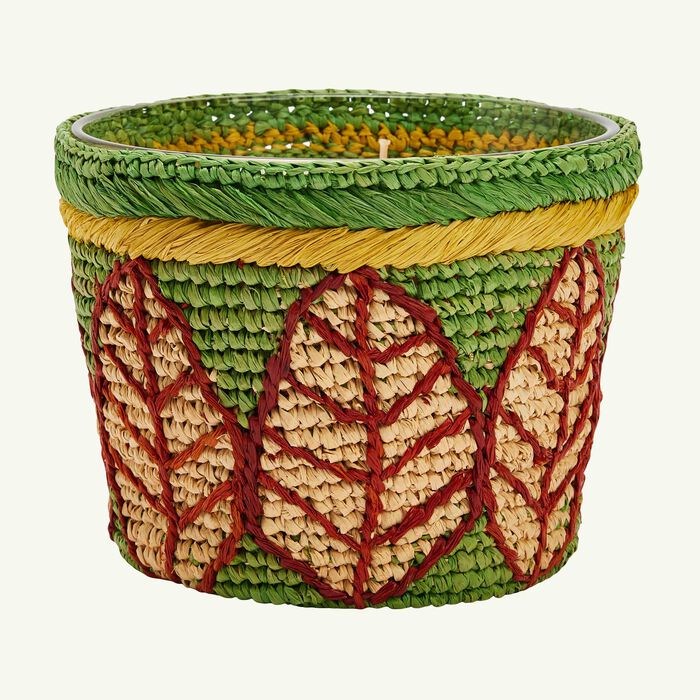baobab collection ravintsara ravina candle max 10