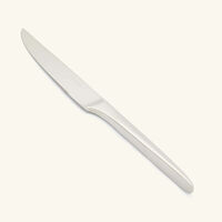 l ame de christofle steak knife stainless steel