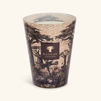 Sacred Trees Mankono Candle Max 24 baobab collection sacred trees mankono candle max 24