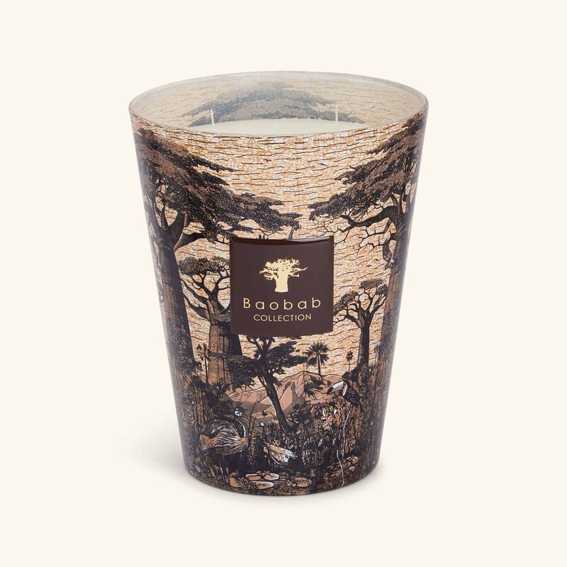 Sacred Trees Mankono Candle Max 24 baobab collection sacred trees mankono candle max 24