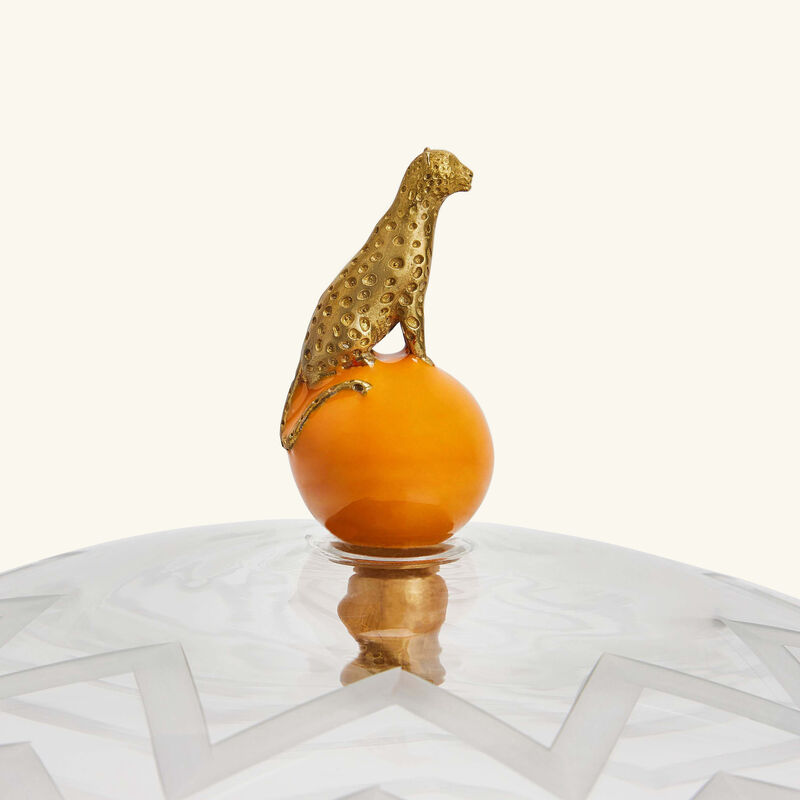 إيرا أودايبور طبق الكيك آريس كلوش دائري أسود 31 سم