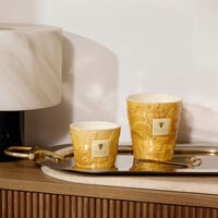 باوباب شمعة دوف المعطرة ماكس 10