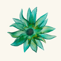 Cactus Centrepiece Green Limited Edition daum cactus centrepiece green limited edition